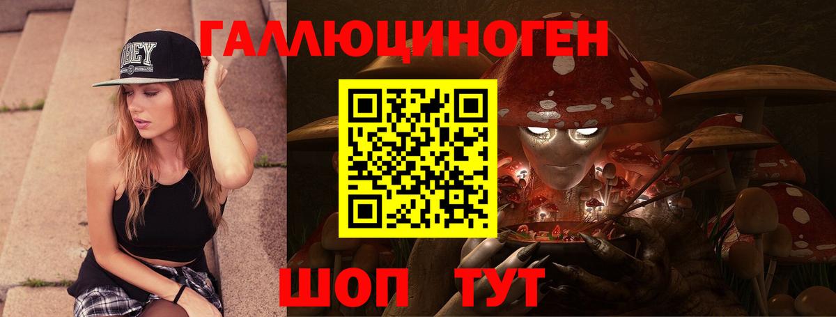 Псилоцибиновые грибы Cubensis Пугачёв